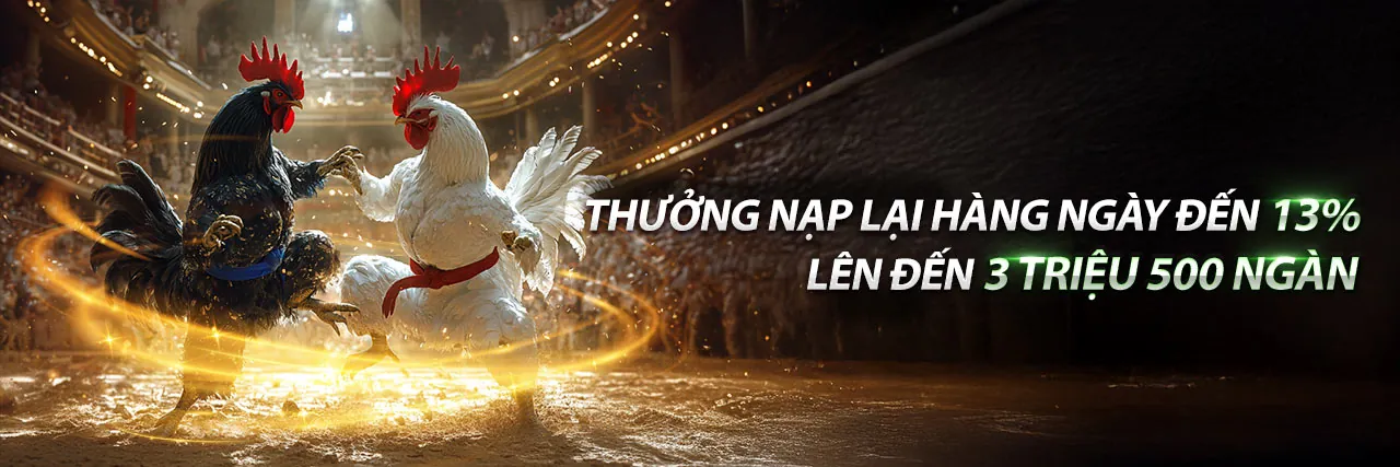 Giới thiệu về ban88, nền tảng cá cược trực tuyến hàng đầu